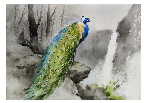 Peacock Painting - Watercolor on Paper