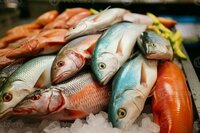 Fresh Fish