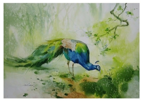 Beautiful Peacock Painting - Watercolor on Paper