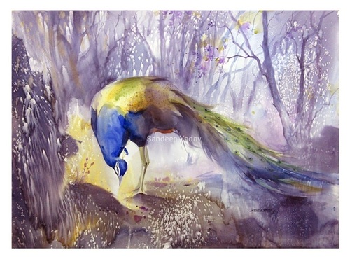 Nature & Beautiful Peacock Painting