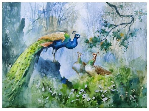 Beautiful Peacock & Watercolor Wall Painting