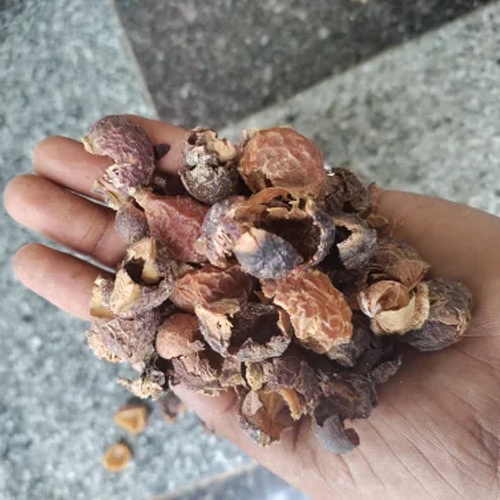 Soapnuts or Reetha Without Shell