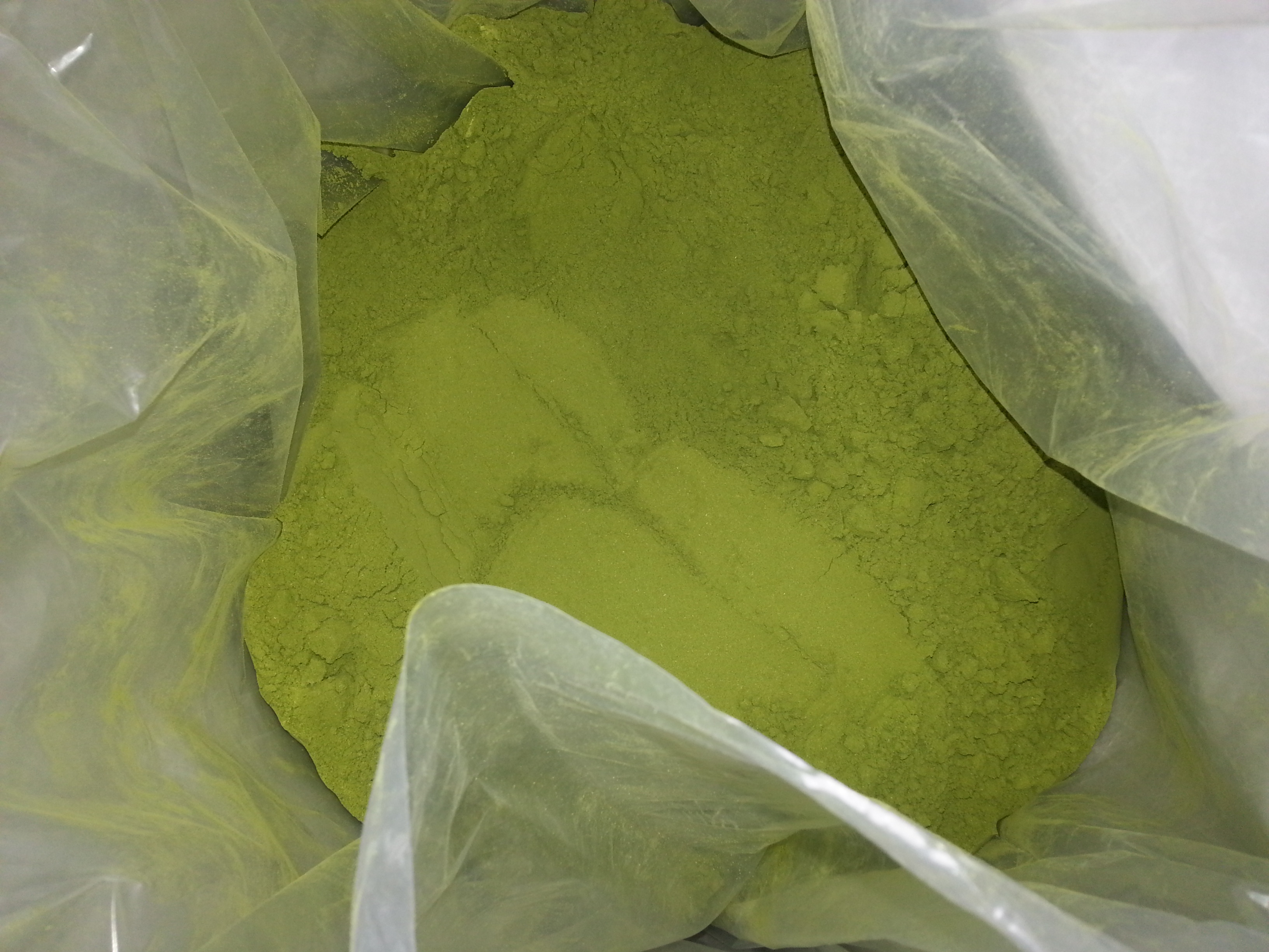 100% Pure Moringa Leaves Powder