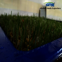 Polypropylene Virgin Plastic Hydroponic Trays - 40x50x50mm , Durable Rectangular Design For Efficient Hydroponic Plant Growth