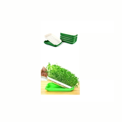 Microgreens Tray