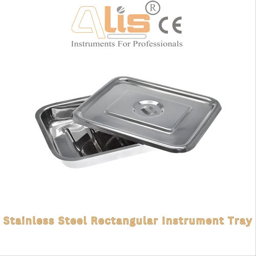 Ss Medical Instrument Tray - Color: Silver