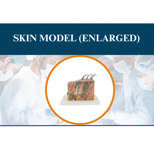 Surgical Suture