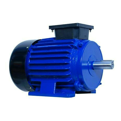 Foot Type Induction Motor