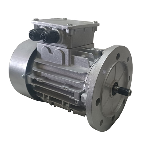 Flange Type Induction Motor