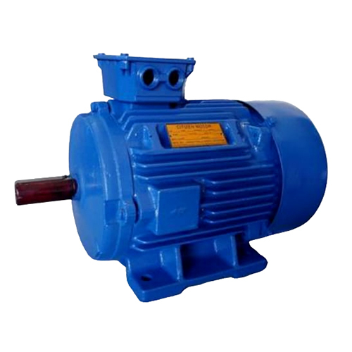 Noback Type Induction Motor - Phase: Double Phase