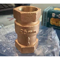 Vertical Check Valve