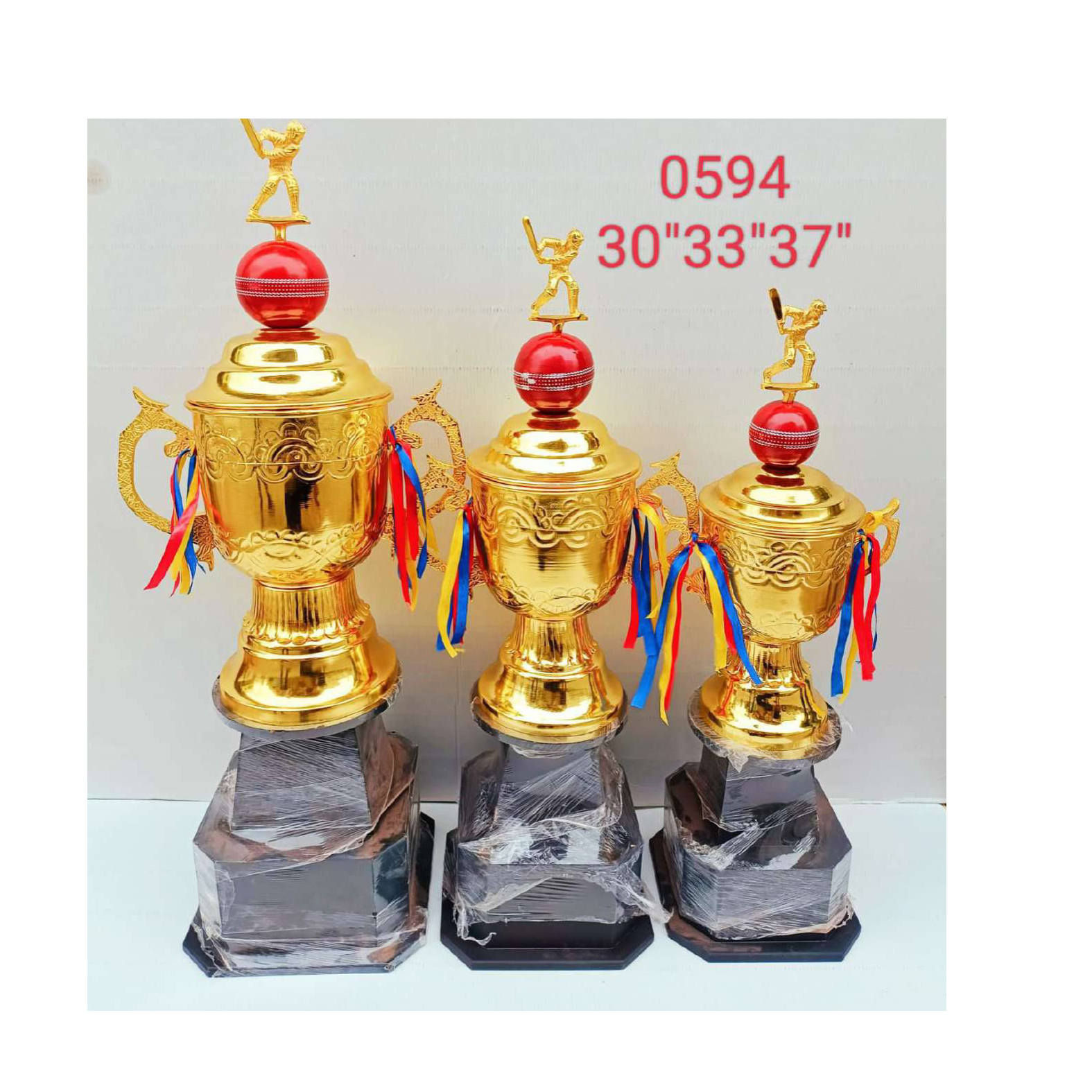 Gold Award Cricket World Cup #0594 - Color: Various Colors