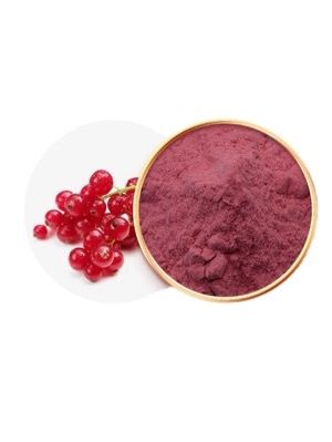 Cranberry Juice Powder