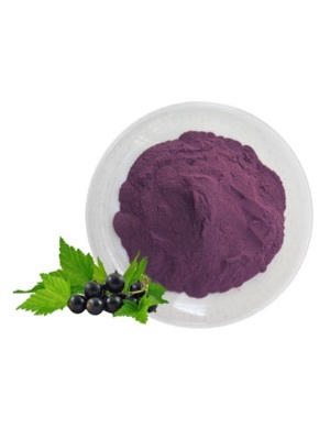 Blackcurrant Juice Powder