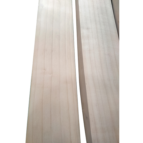 English Willow Cricket Bat