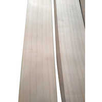 English Willow Cricket Bat - Age Group: Adults