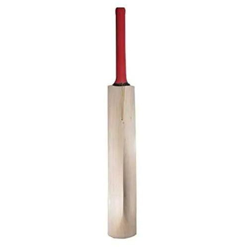 Long Handle Cricket Bat