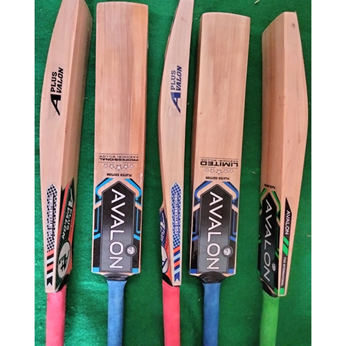 Kashmir Willow Tennis Cricket Bat
