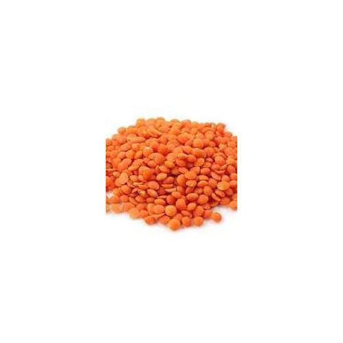 Masoor Dal - Cultivation Type: Common