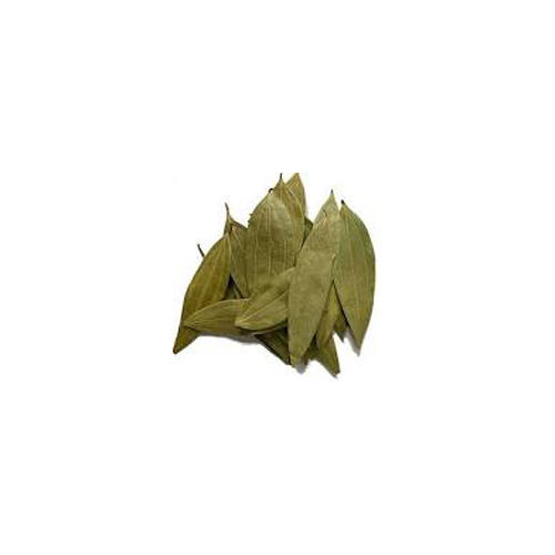 Bay Leaf - Product Type: Fresh