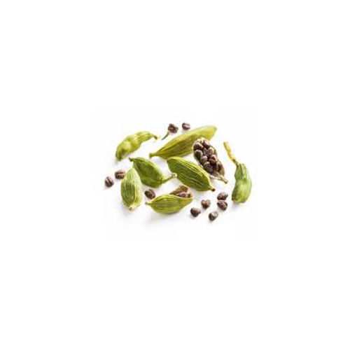 Cardamom Seed - Product Type: Fresh