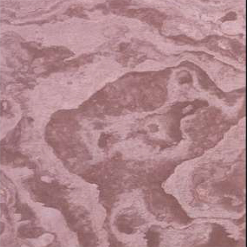 Terra Red Slate Natural Stone Veneers