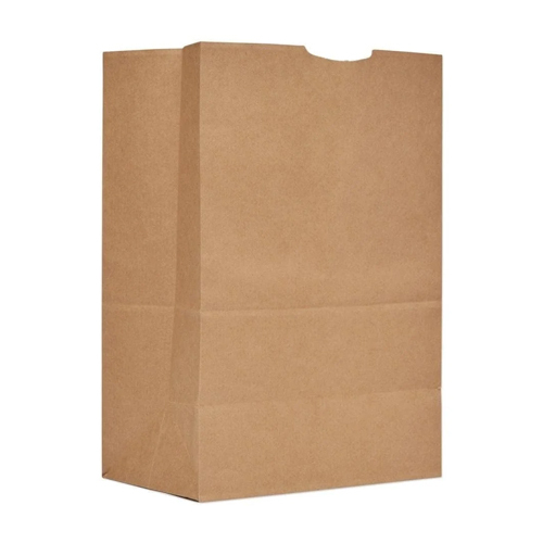 Brown Paper Bag - Feature: Recyclable