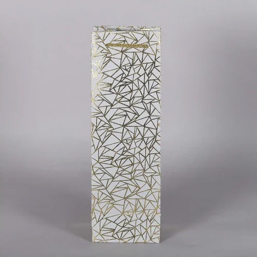 3Kg Printed Paper Bottle Bag