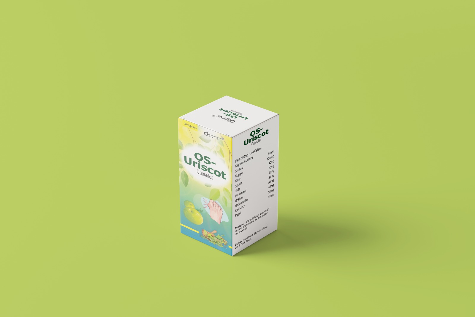 AYURVEDIC URIC ACID CONTROL CAPSULE
