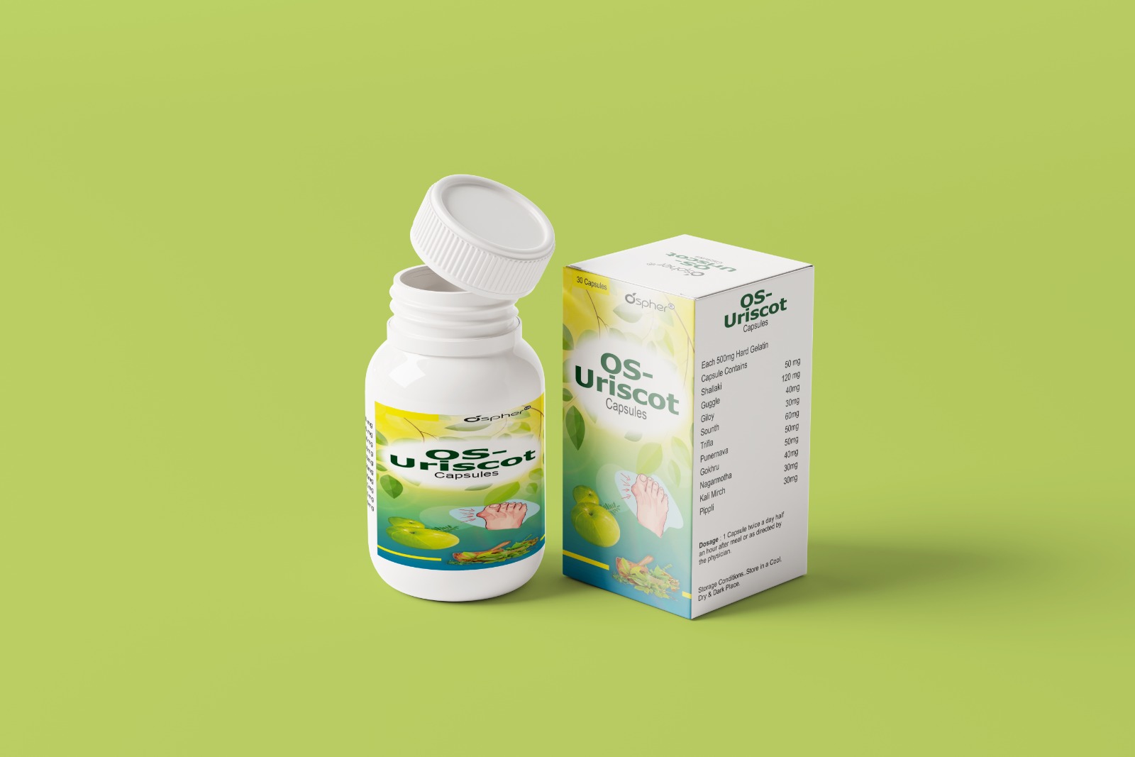 AYURVEDIC URIC ACID CONTROL CAPSULE