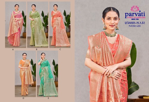 Parvati Multicolor Norah Silk Saree -25660