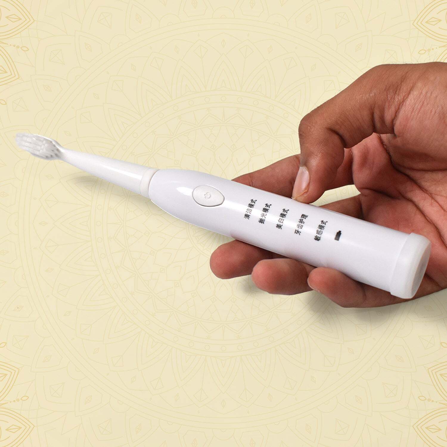 Electric Toothbrushe