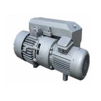 Rotary Vacuum Pump - Color: Grey