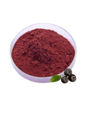 Aronia melanocarpa Elliot juice powder