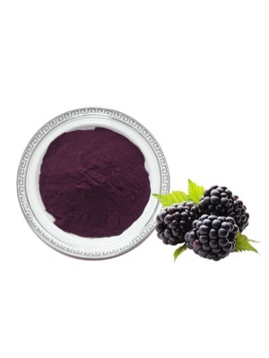 Blackberry juice powder