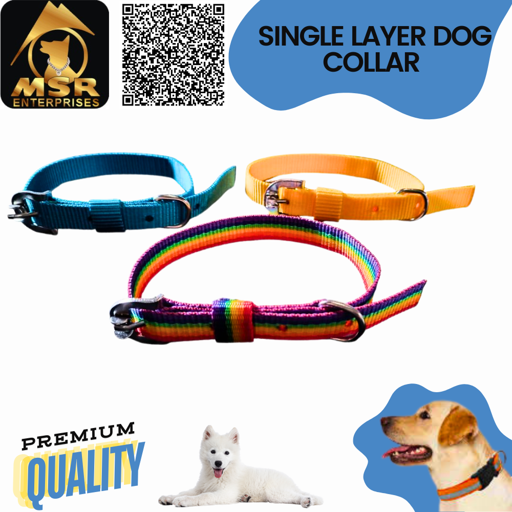 Single Layer Buckle  Dog Collar ( PP / NYLON )