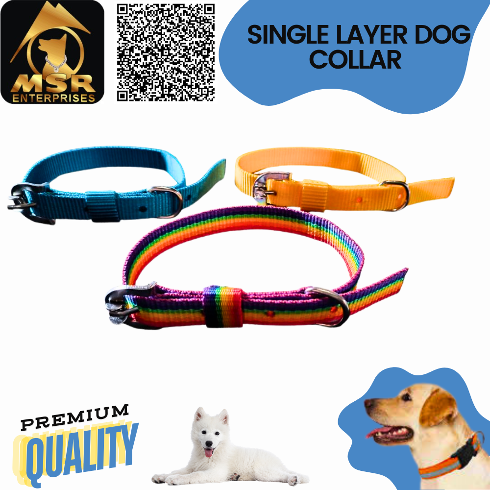 Single Layer Buckle Dog Collar - Pp/nylon, 1.5 Inch Size, Multi-color, High Quality For All Dog Breeds