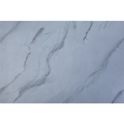 298-2 Printed Floor Tiles