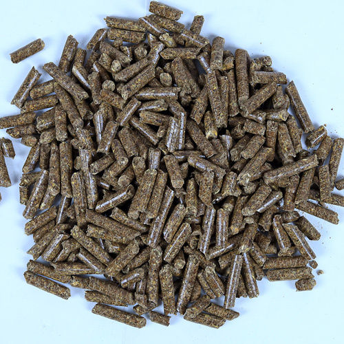 Groundnut Shell Pellets - Color: Brown