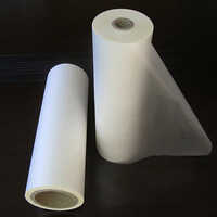 Thermal Pearl Film