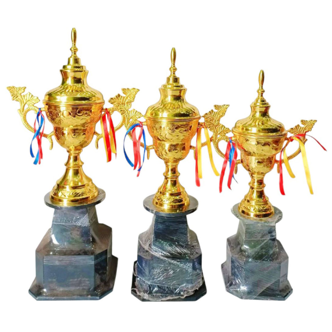 Gold Trophy Cup For Sports Event, Ceremony, Appreciation Gift #635 - Color: Various Colors