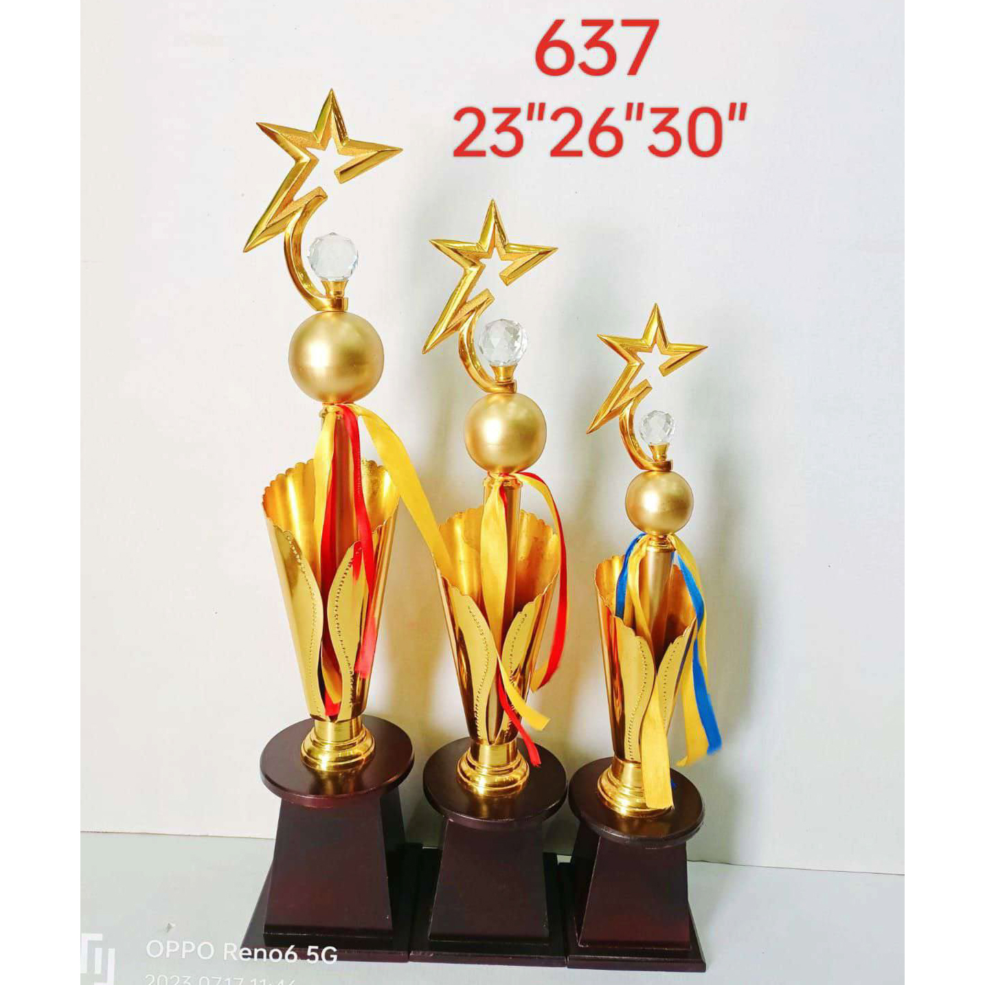 Golden Metal Star Trophy #637