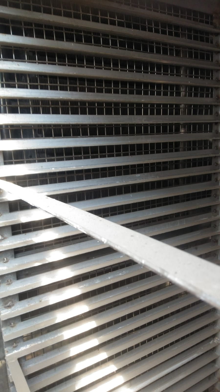 Stainless Steel Tray Dryer