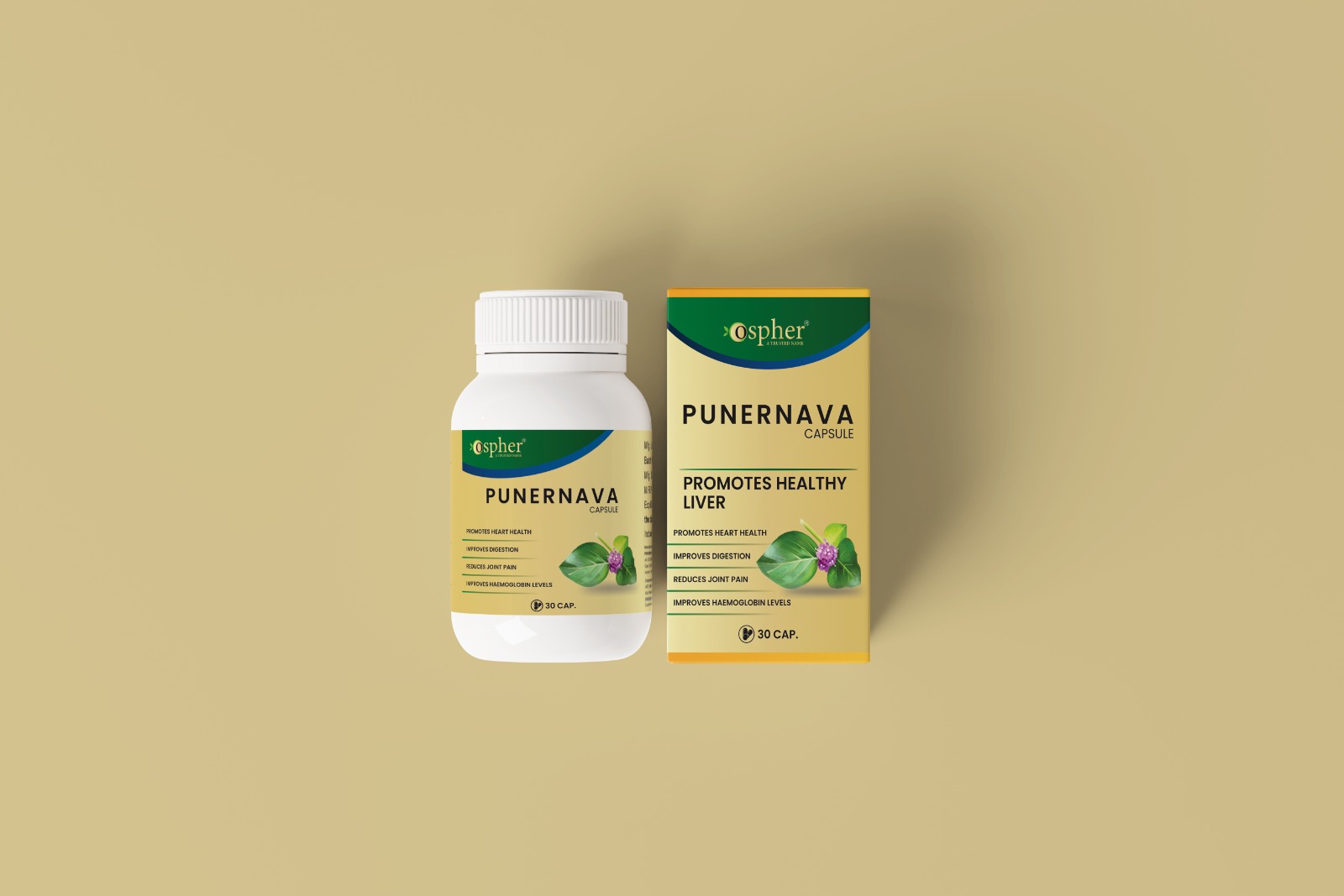 AYURVEDIC PUNERNAVA CAPSULE