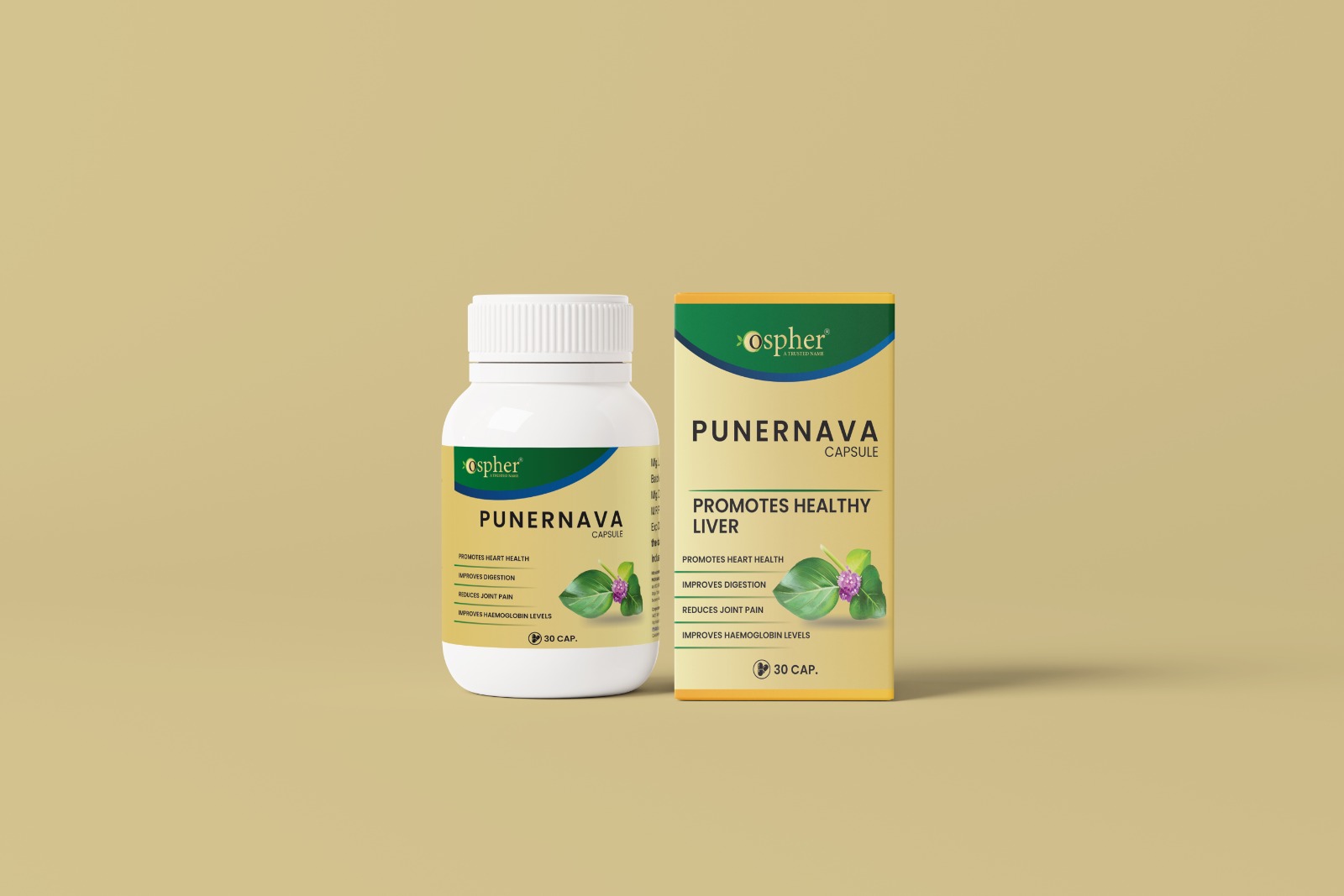 Ayurvedic Punernava Capsule - Age Group: For Adults