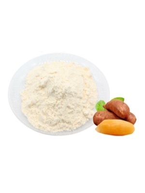 Saussurea involucrate juice powder