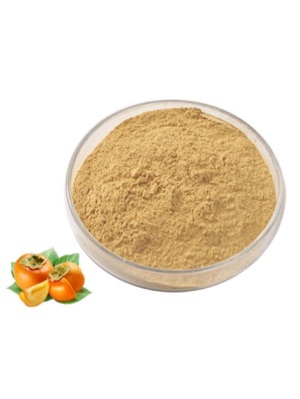 Persimmon juice powder