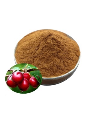 Chinese dwarf cherry juice powder