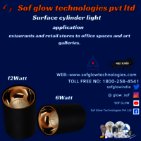 12W CYLINDRICAL SURFACE COB LIGHT WW