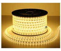 LED ROPE LIGHT CW/WW